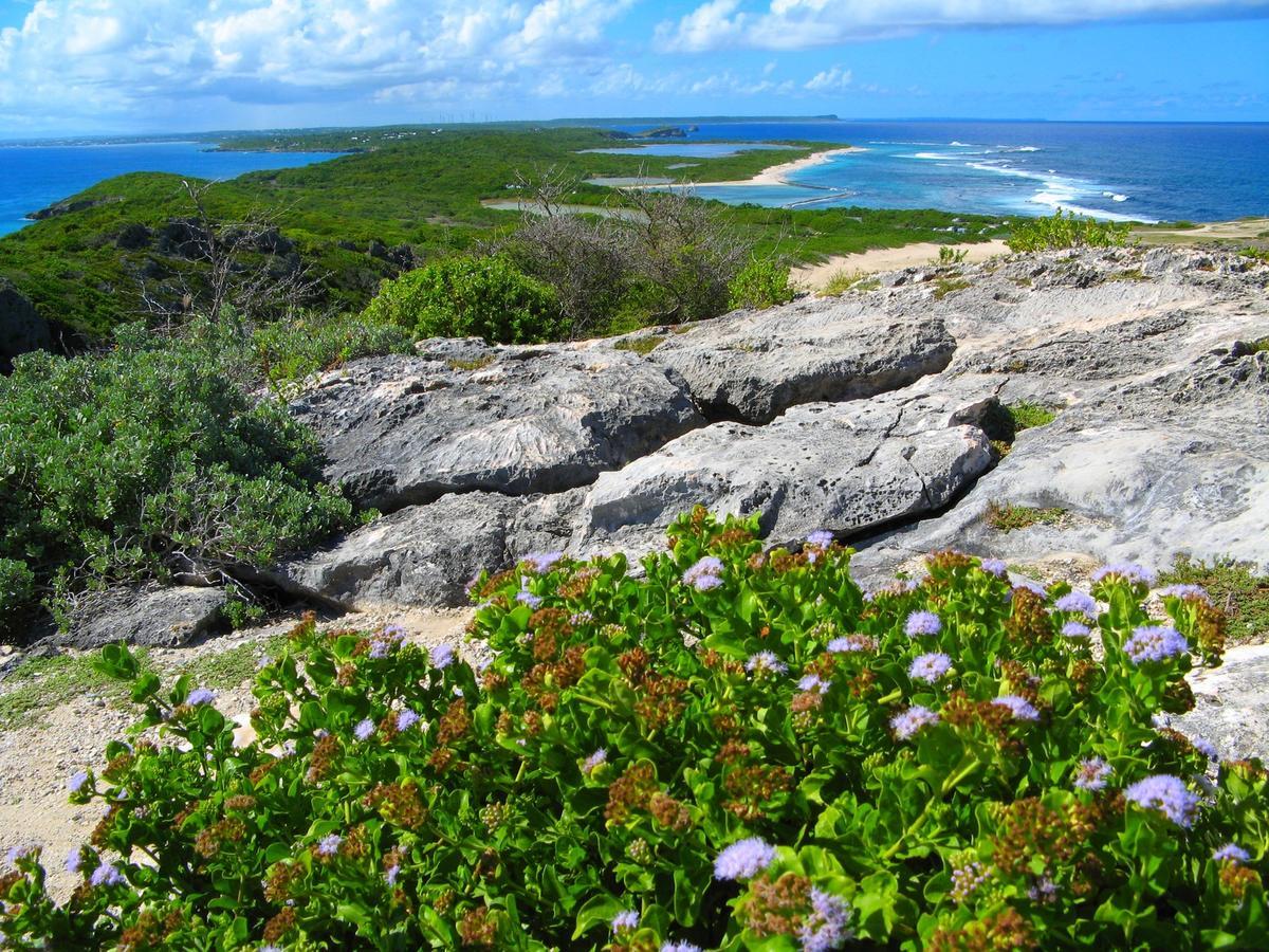 Carambole Sainte-Anne (Grande-Terre) Exterior foto