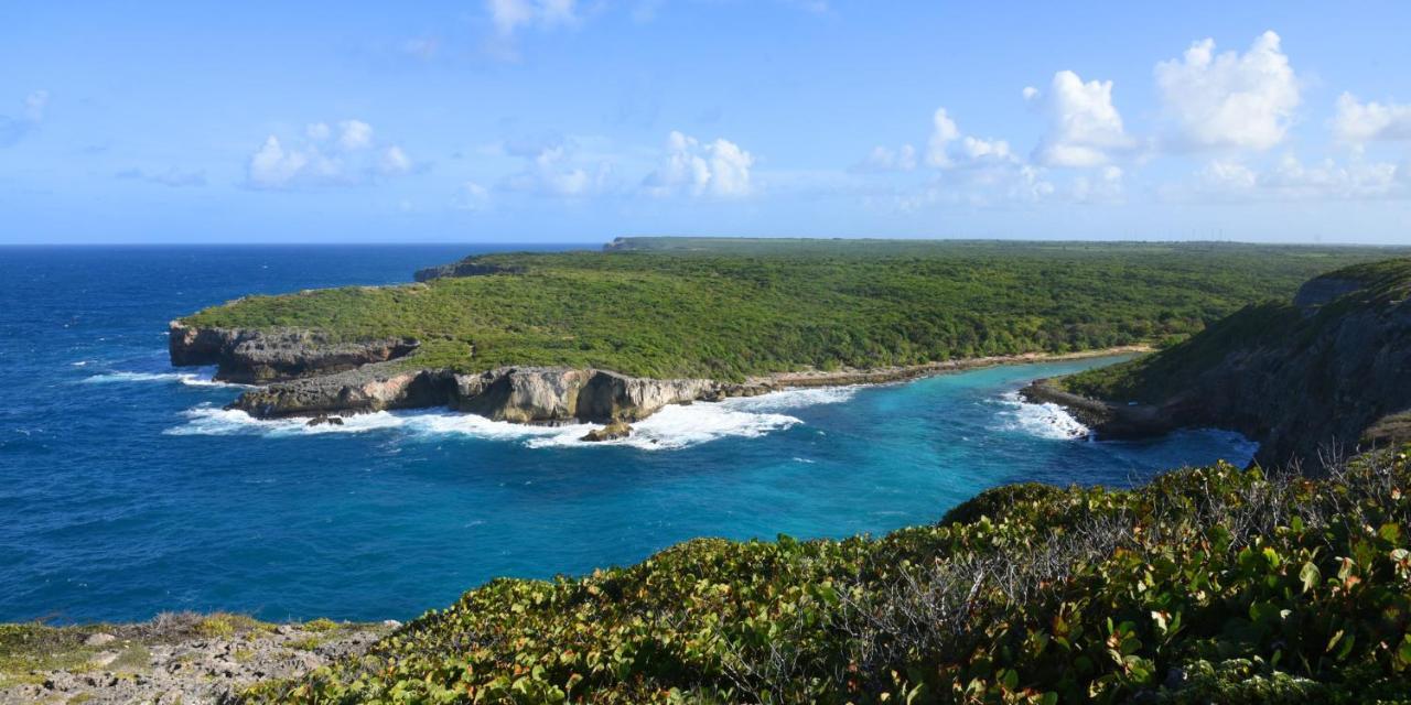 Carambole Sainte-Anne (Grande-Terre) Exterior foto